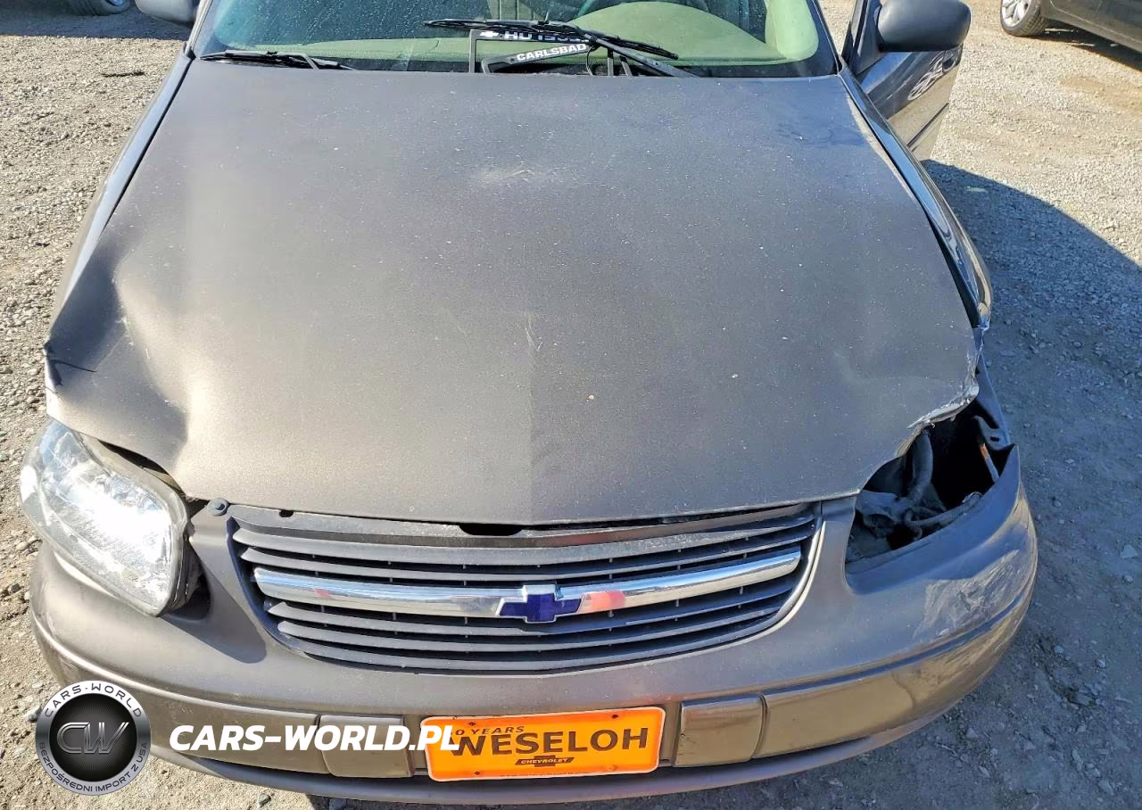 2001 Chevrolet Malibu VIN:1G1ND52JX16245912 - 11
