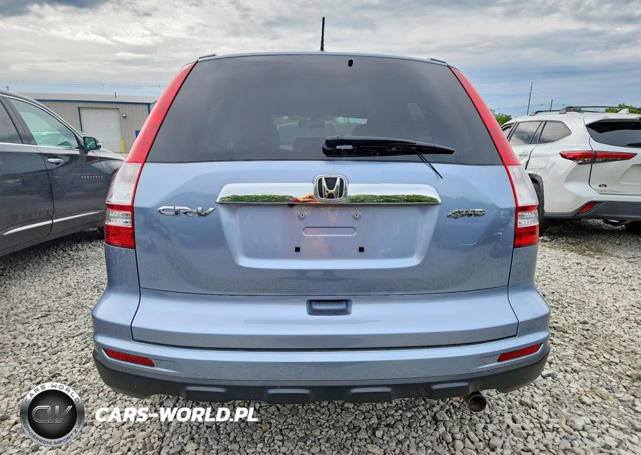 2010 Honda Cr-V Exl VIN:5J6RE4H79AL061570 - 6
