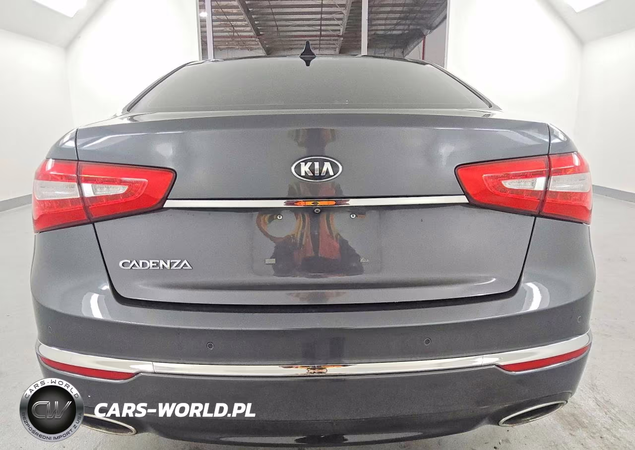 2016 Kia Cadenza Luxury VIN:KNALN4D79G5218798 - 6