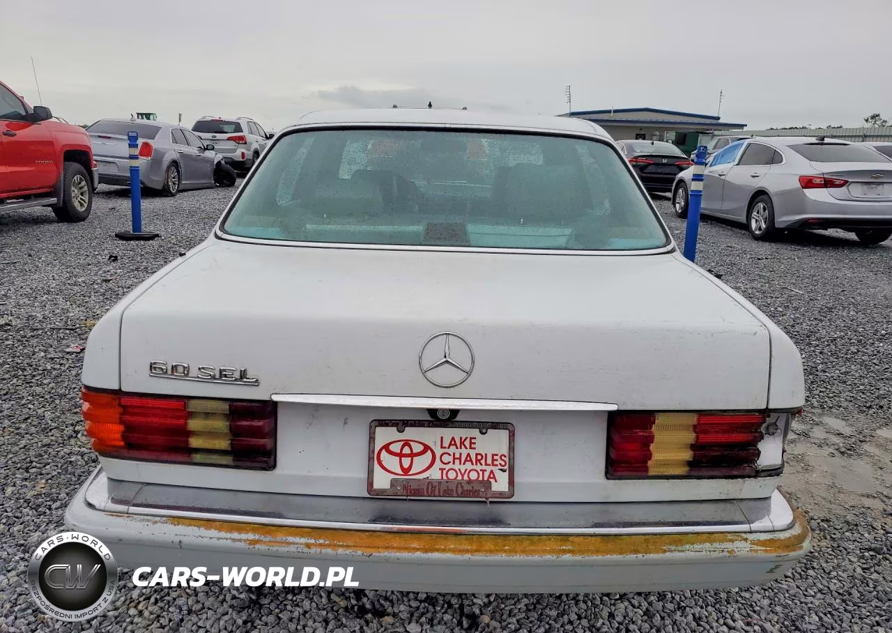 1991 Mercedes-Benz 560 Sel VIN:WDBCA39E0MA569696 - 6
