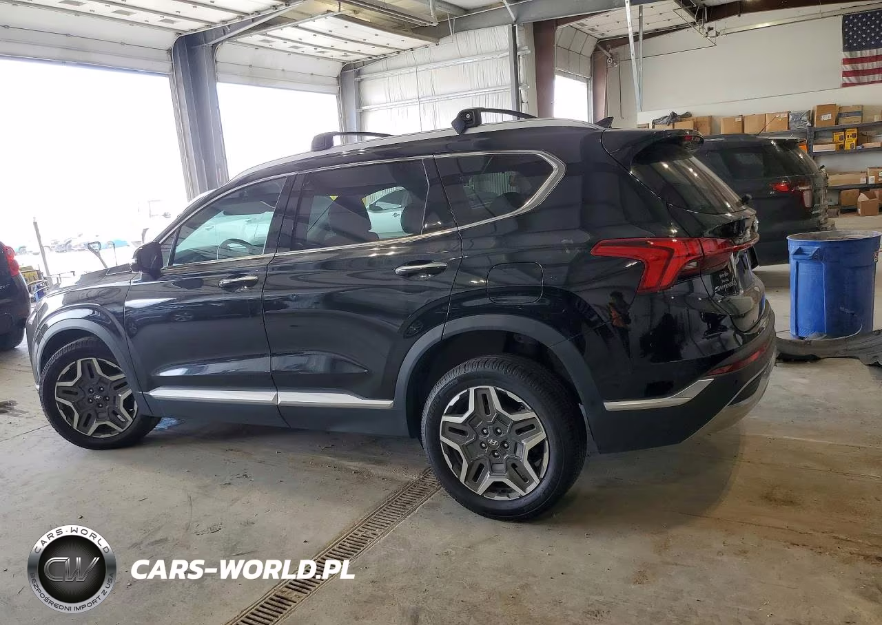 2021 Hyundai Santa Fe Limited VIN:5NMS4DALXMH353848 - 2
