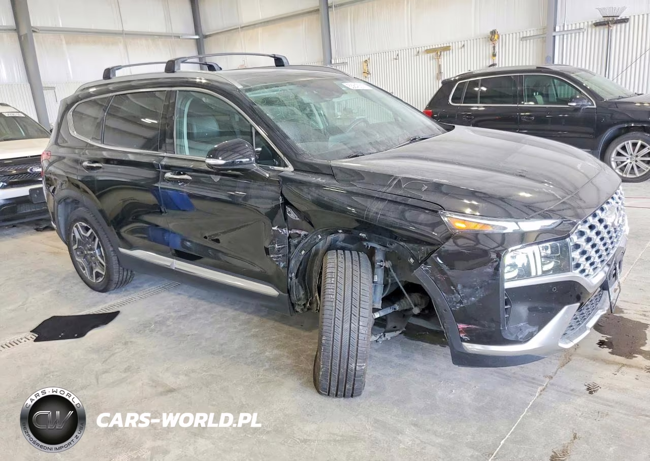 2021 Hyundai Santa Fe Limited VIN:5NMS4DALXMH353848 - 4