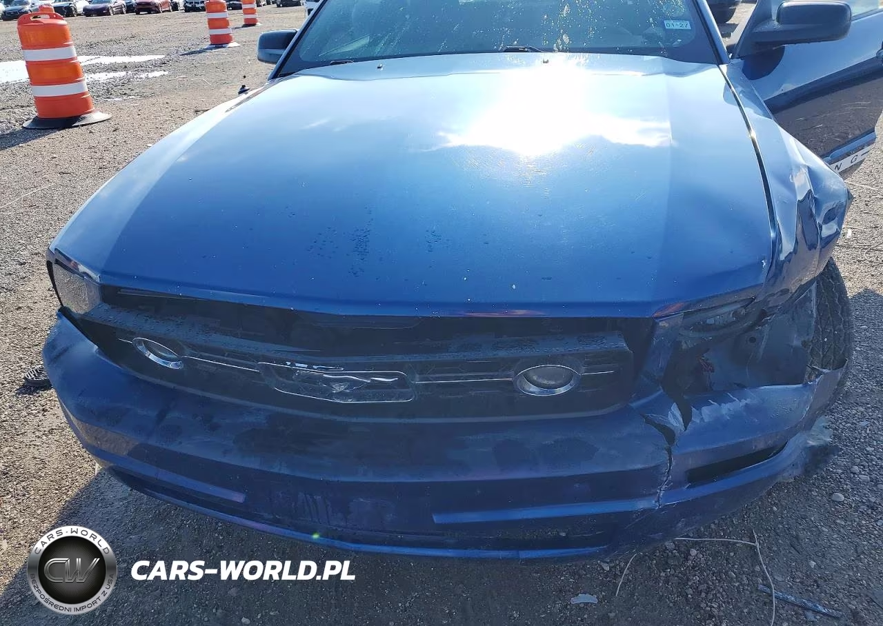 2008 Ford Mustang VIN:1ZVHT80N085115729 - 11