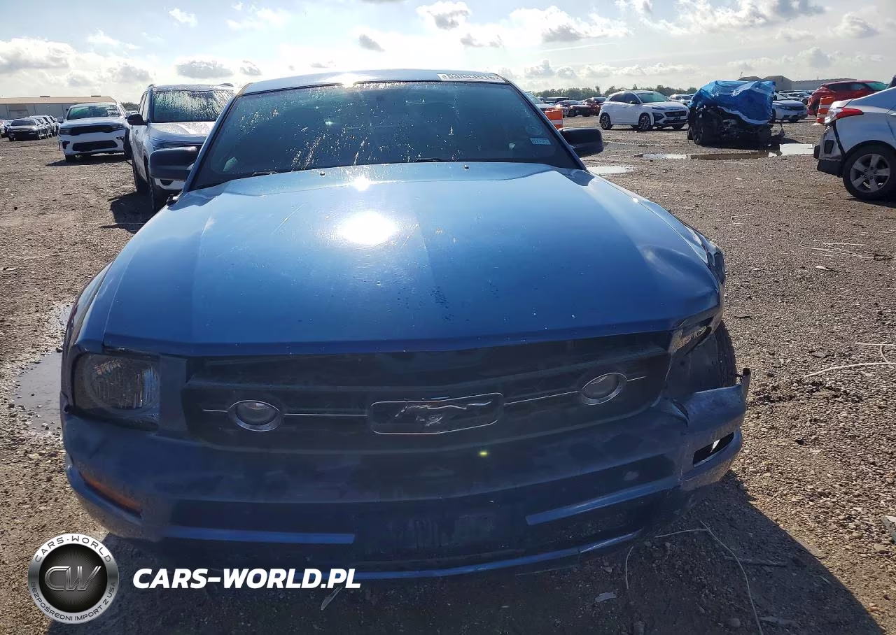 2008 Ford Mustang VIN:1ZVHT80N085115729 - 5