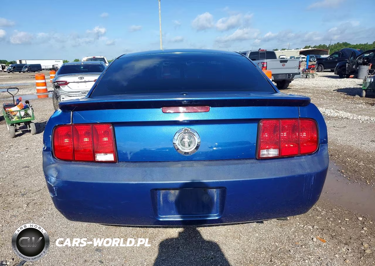 2008 Ford Mustang VIN:1ZVHT80N085115729 - 6