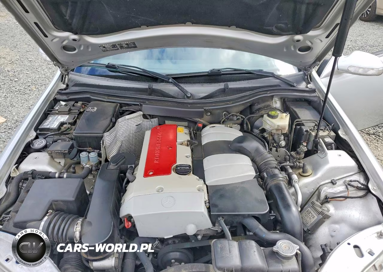 2004 Mercedes-Benz Slk 230 Kompressor VIN:WDBKK49F54F306632 - 11