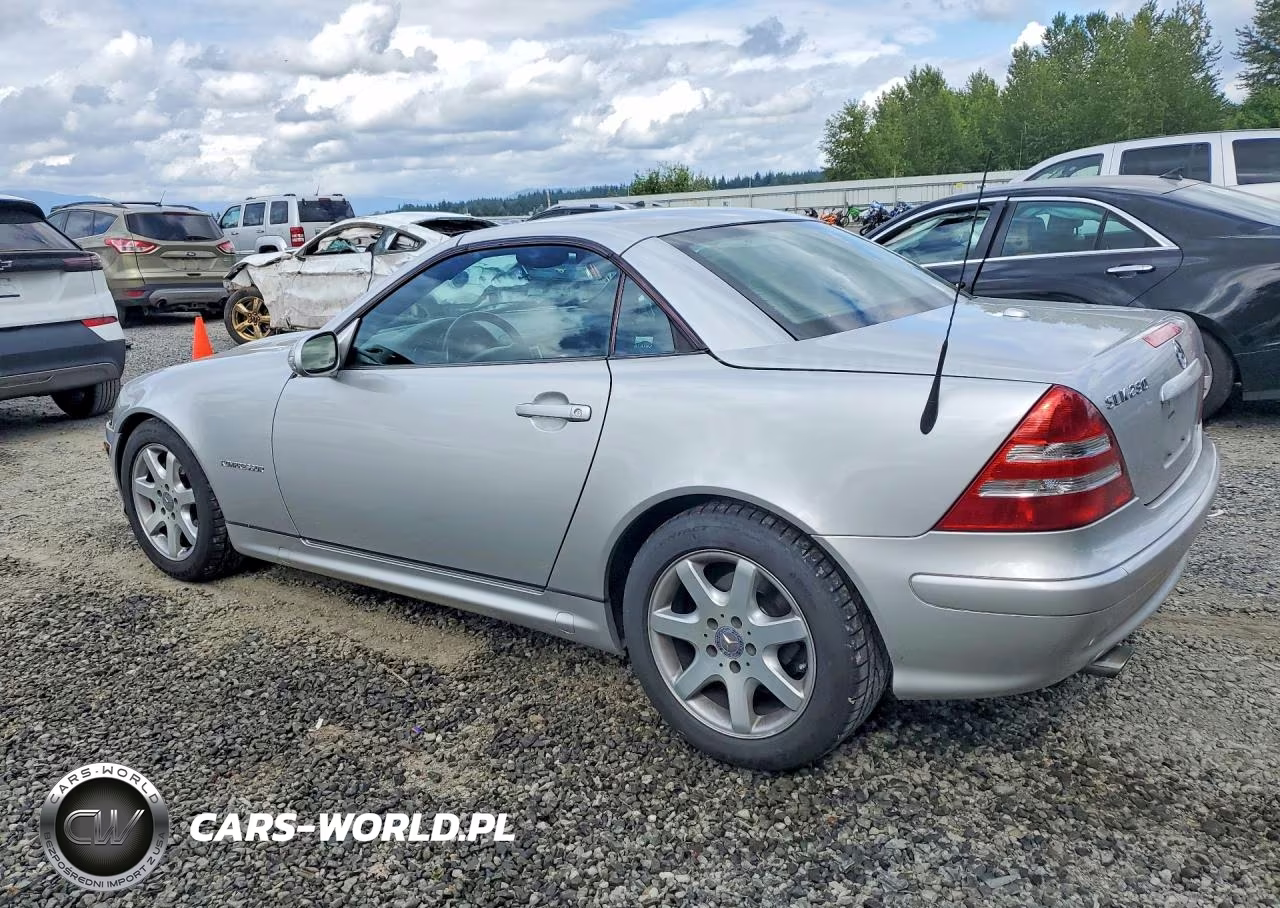 2004 Mercedes-Benz Slk 230 Kompressor VIN:WDBKK49F54F306632 - 2