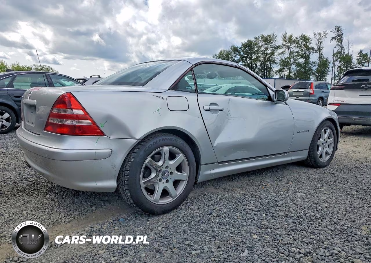 2004 Mercedes-Benz Slk 230 Kompressor VIN:WDBKK49F54F306632 - 3