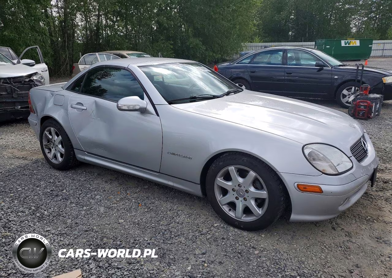 2004 Mercedes-Benz Slk 230 Kompressor VIN:WDBKK49F54F306632 - 4
