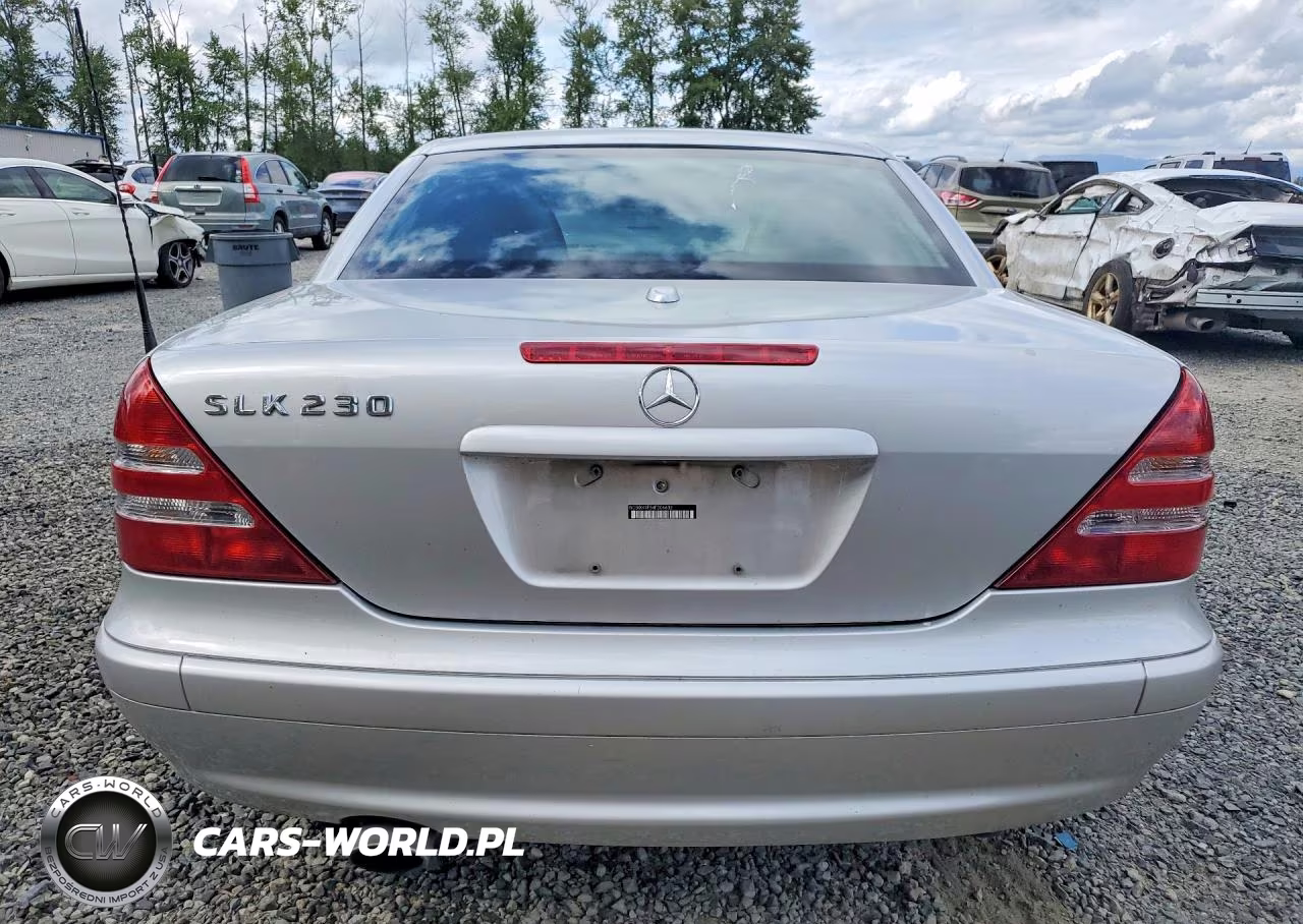 2004 Mercedes-Benz Slk 230 Kompressor VIN:WDBKK49F54F306632 - 6