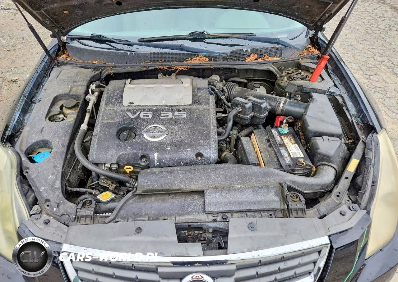 2007 Nissan Maxima 3.5 Se VIN:1N4BA41E47C854818 - 11