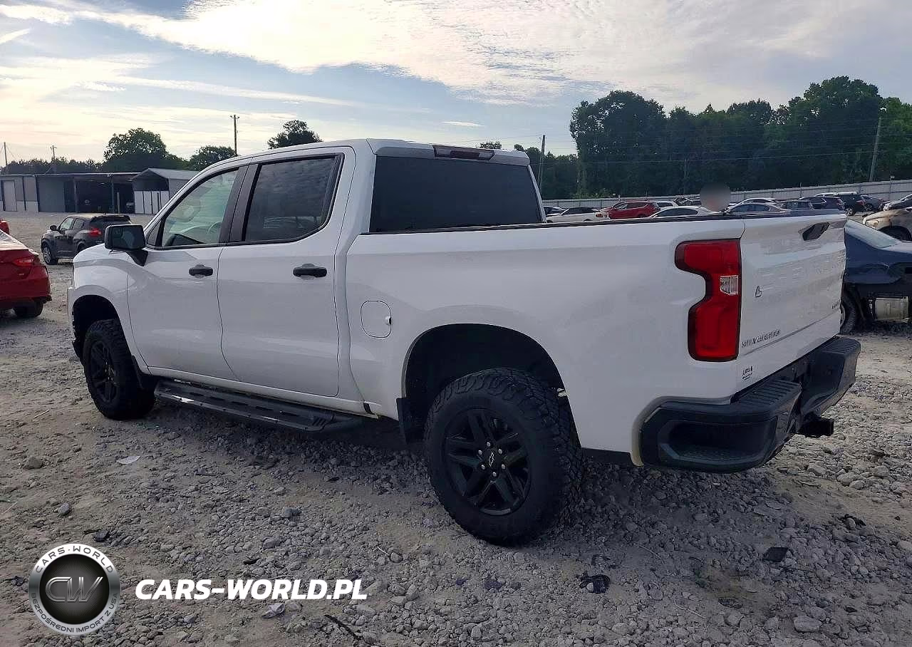 2019 Chevrolet Silverado K1500 Trail Boss Custom VIN:3GCPYCEF4KG237370 - 2
