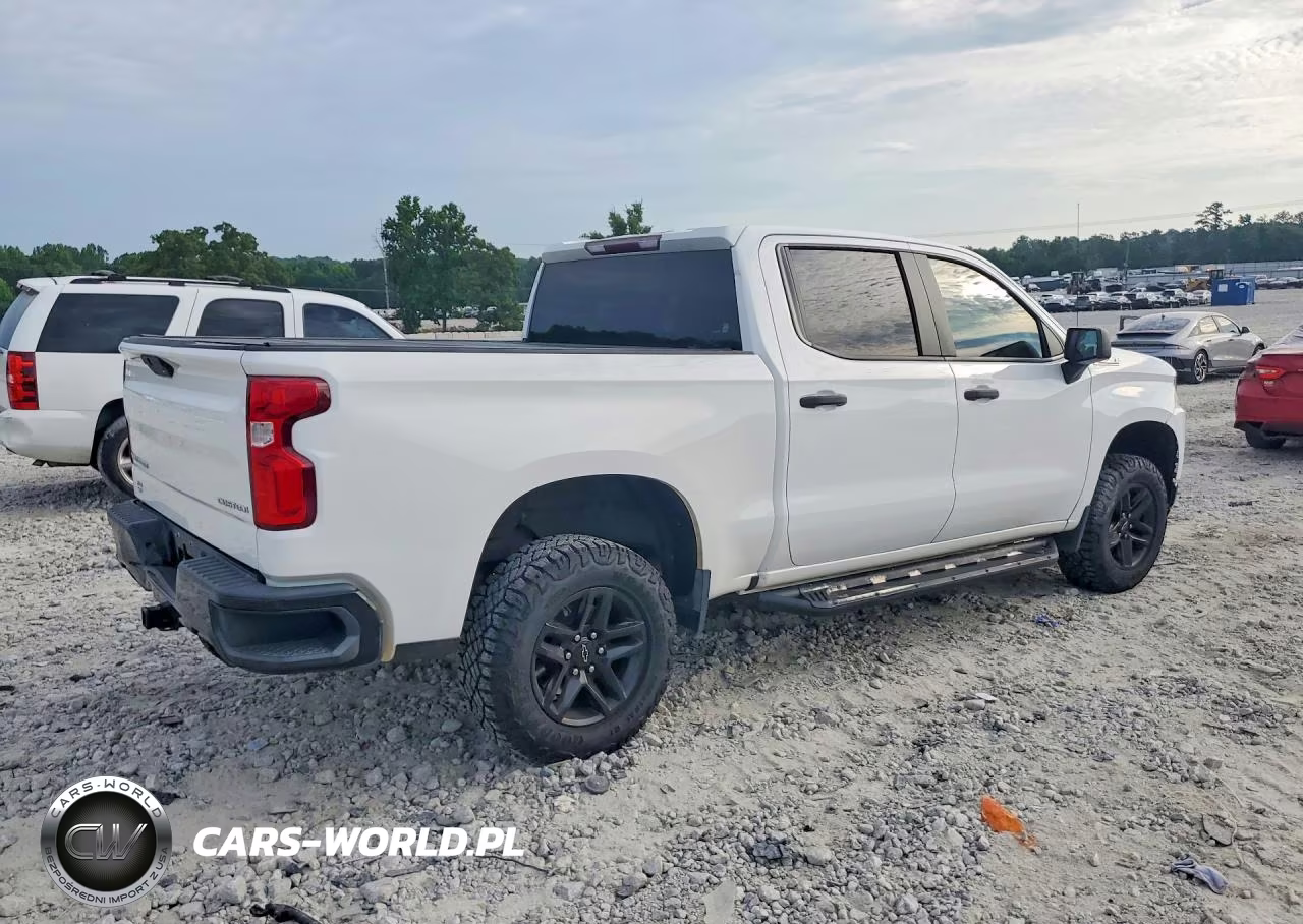 2019 Chevrolet Silverado K1500 Trail Boss Custom VIN:3GCPYCEF4KG237370 - 3