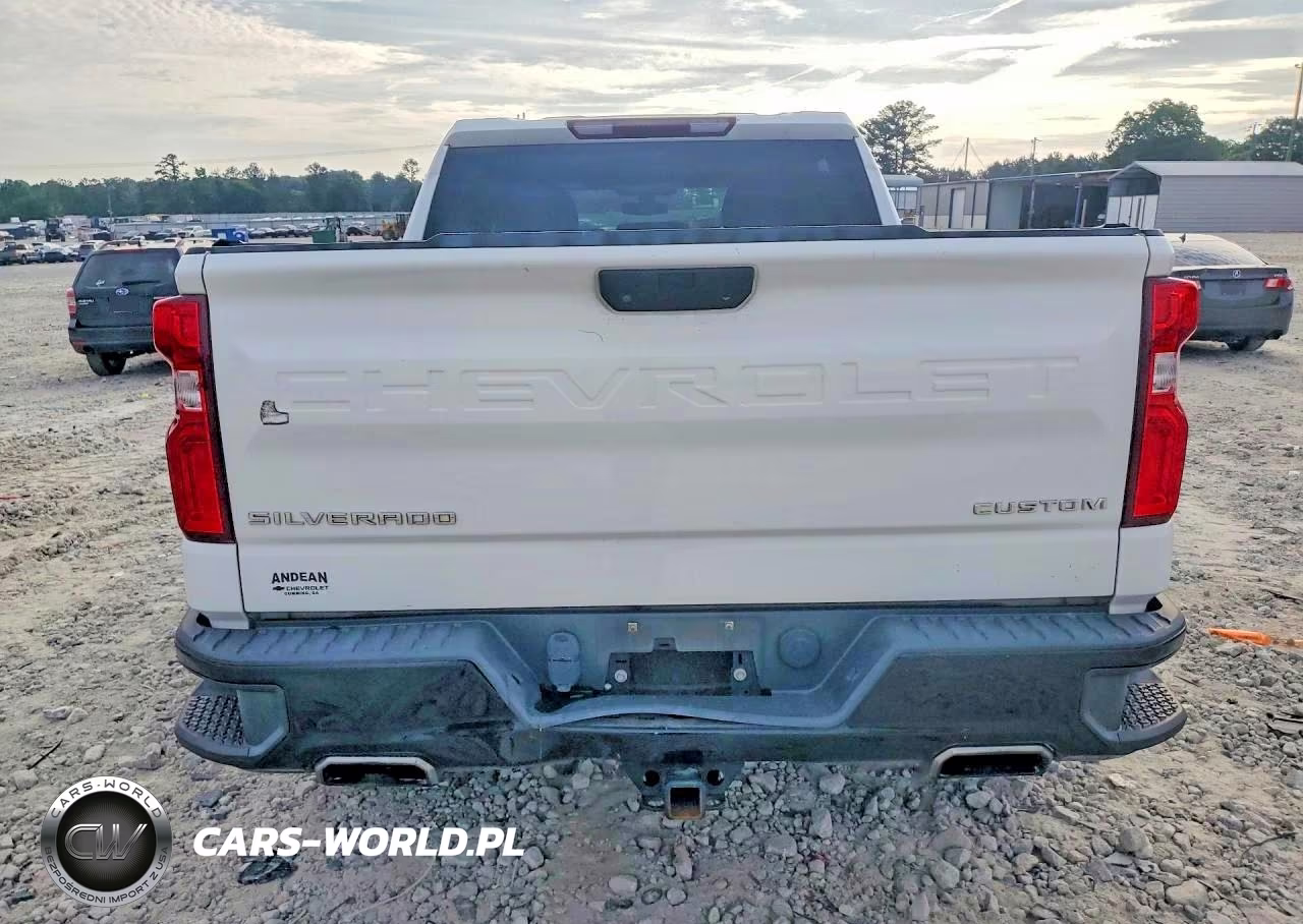 2019 Chevrolet Silverado K1500 Trail Boss Custom VIN:3GCPYCEF4KG237370 - 6