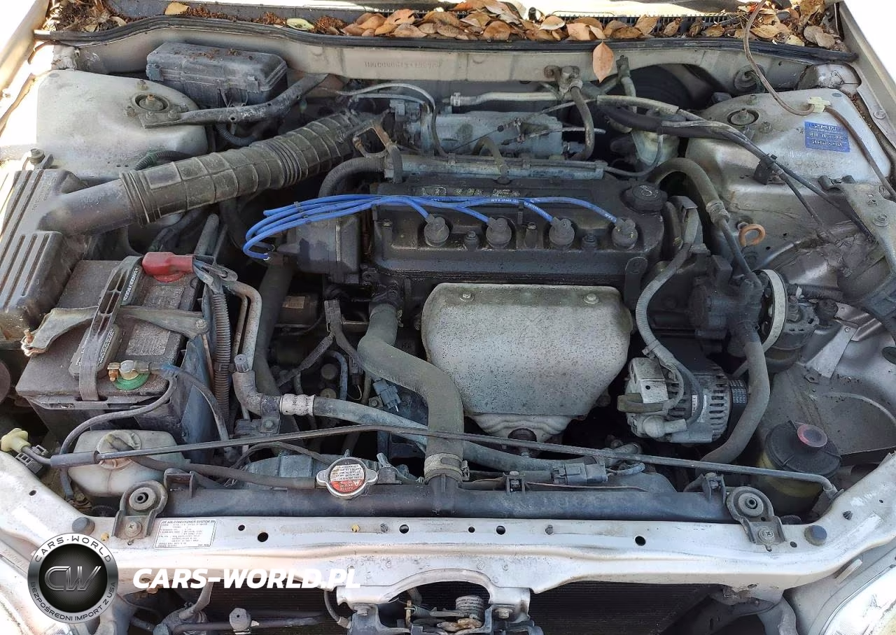 1999 Honda Accord Lx VIN:1HGCG6651XA136769 - 11