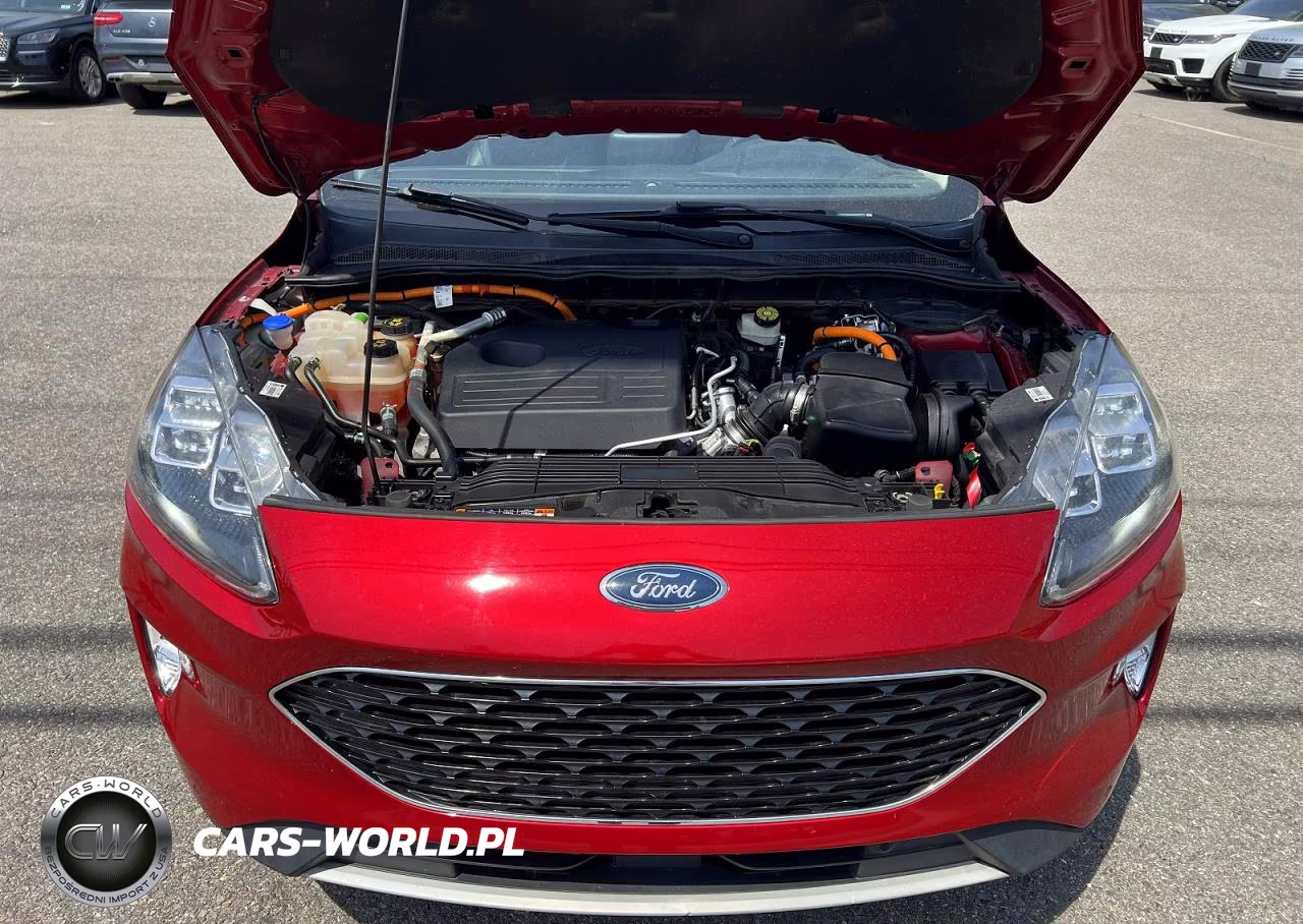 2020 Ford Escape Titanium VIN:1FMCU0DZXLUA46311 - 8