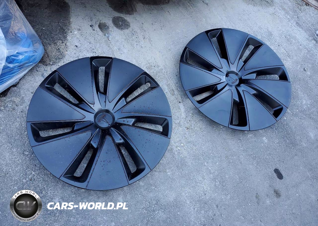 2025 Tesla Model 3 VIN:5YJ3E1EA0SF069748 - 12