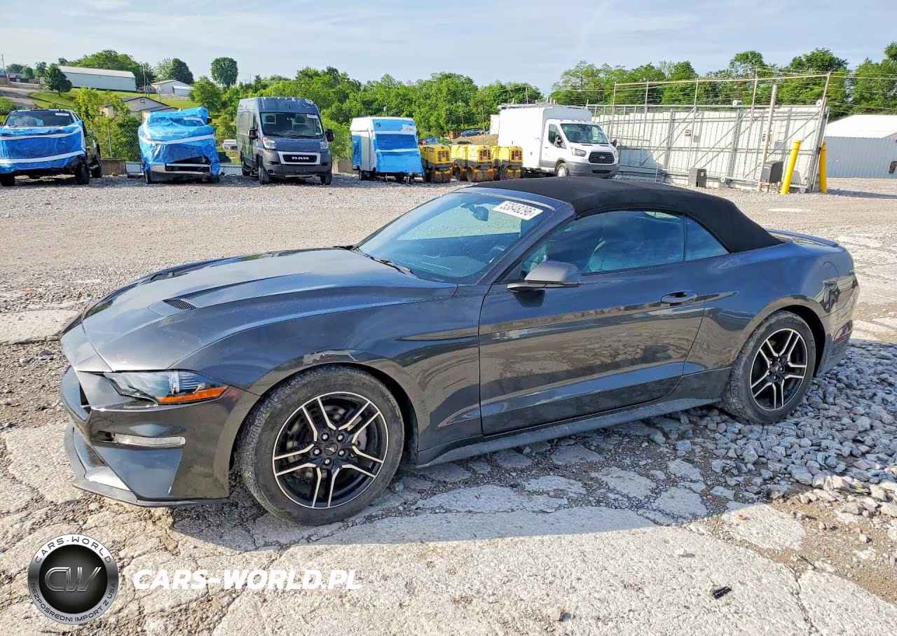 FORD MUSTANG