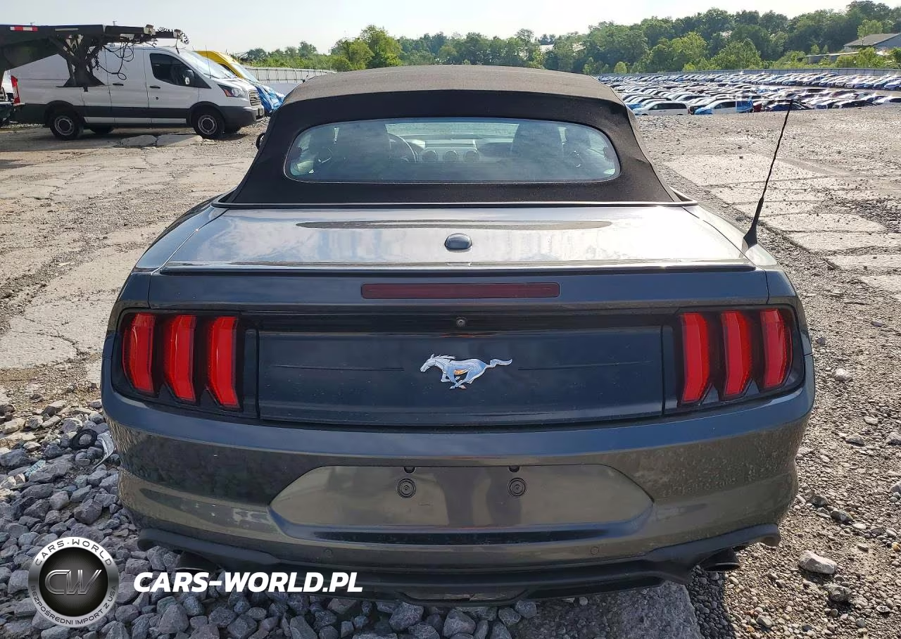 FORD MUSTANG VIN:1FATP8UH8L5112694 - 6
