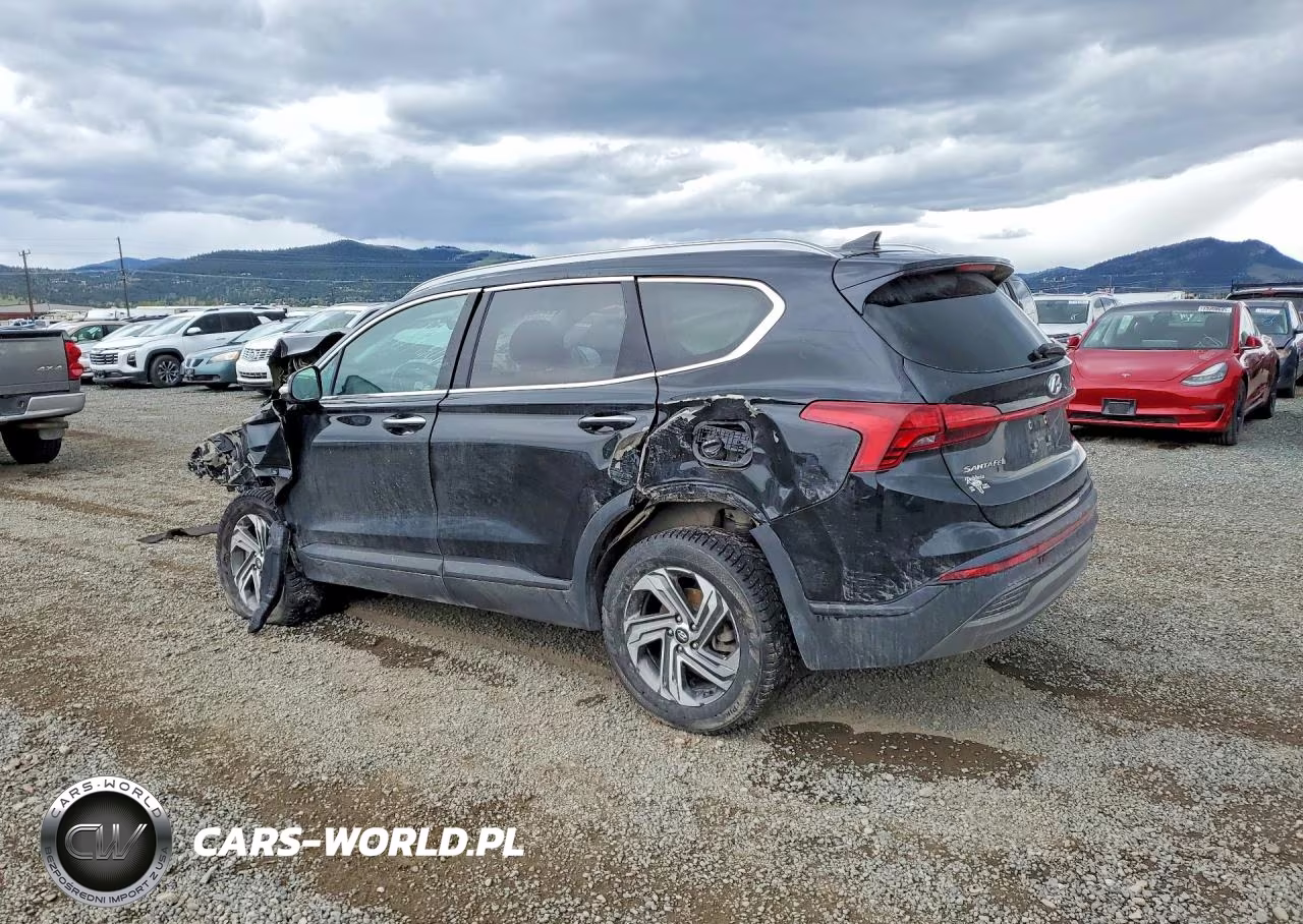 2023 Hyundai Santa Fe Sel VIN:5NMS2DAJ8PH547884 - 2