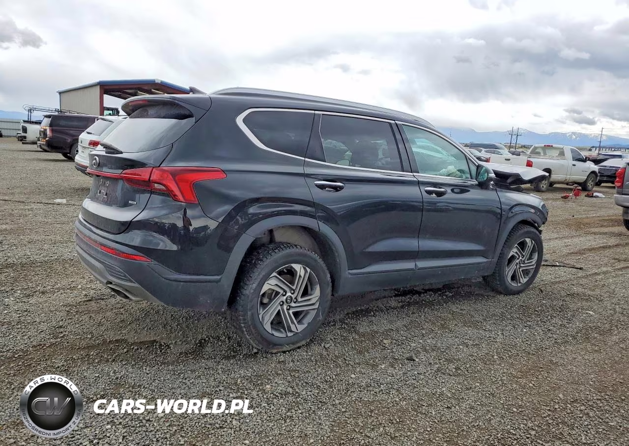 2023 Hyundai Santa Fe Sel VIN:5NMS2DAJ8PH547884 - 3