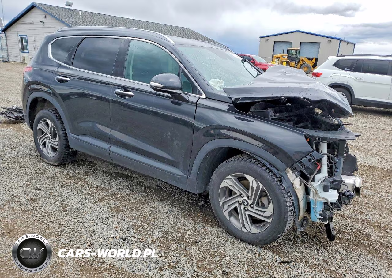 2023 Hyundai Santa Fe Sel VIN:5NMS2DAJ8PH547884 - 4