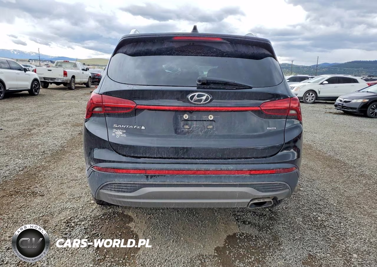 2023 Hyundai Santa Fe Sel VIN:5NMS2DAJ8PH547884 - 6