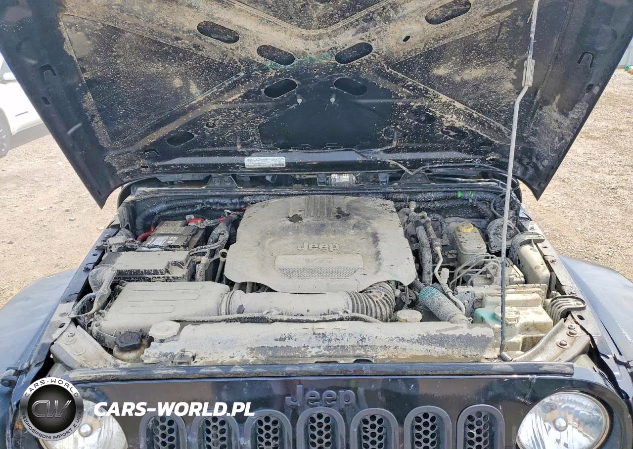 2016 Jeep Wrangler Unlimited Sport VIN:1C4BJWDGXGL204748 - 12
