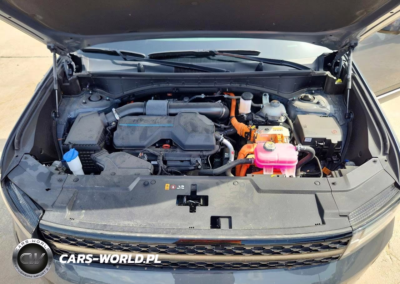2025 Hyundai Santa Fe Calligraphy VIN:5NMP54G10SH056450 - 12