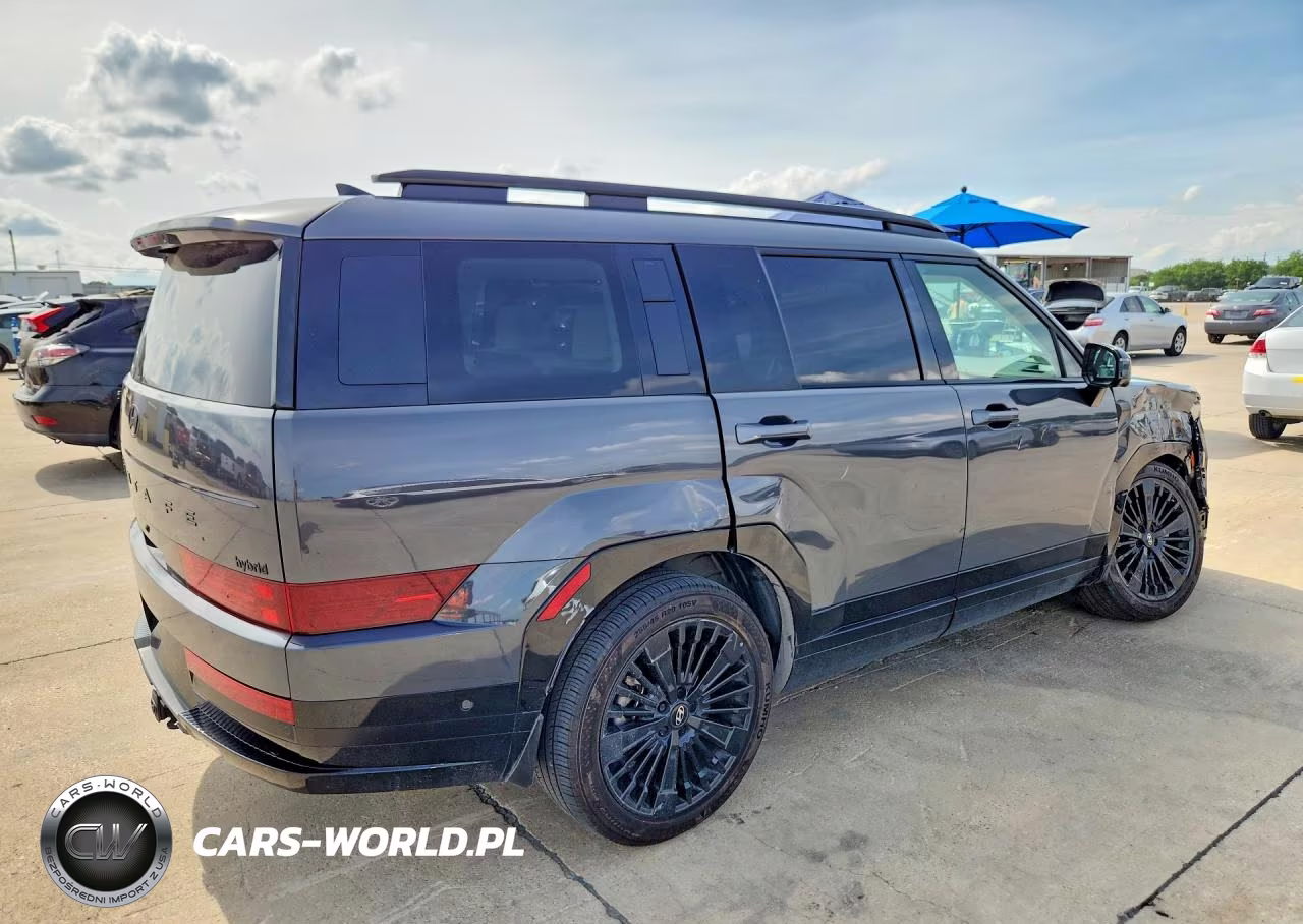 2025 Hyundai Santa Fe Calligraphy VIN:5NMP54G10SH056450 - 3
