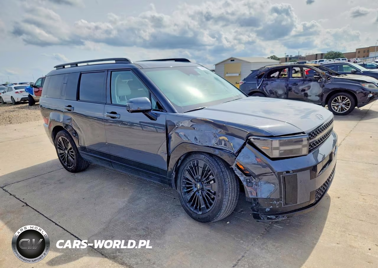 2025 Hyundai Santa Fe Calligraphy VIN:5NMP54G10SH056450 - 4