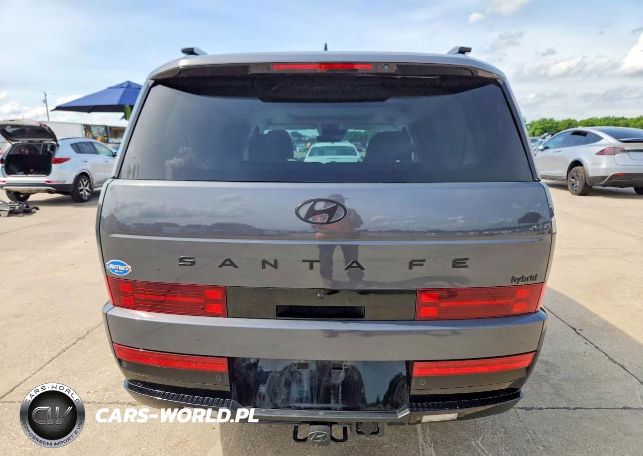 2025 Hyundai Santa Fe Calligraphy VIN:5NMP54G10SH056450 - 6