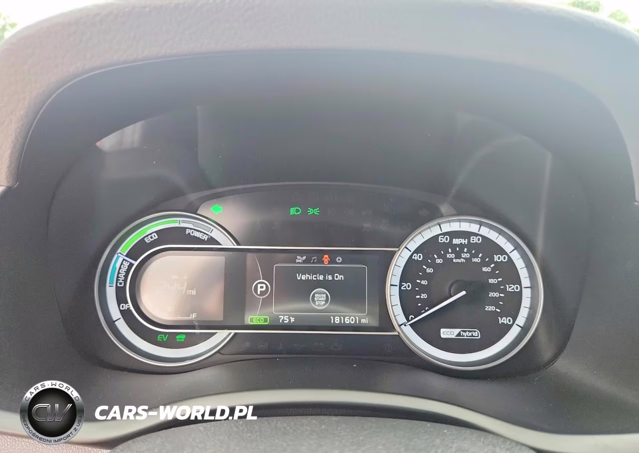 2017 Kia Niro Lx VIN:KNDCB3LC4H5100776 - 9