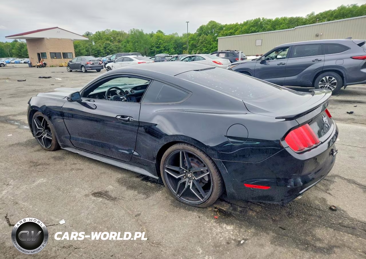 2017 Ford Mustang VIN:1FA6P8AM5H5257505 - 2