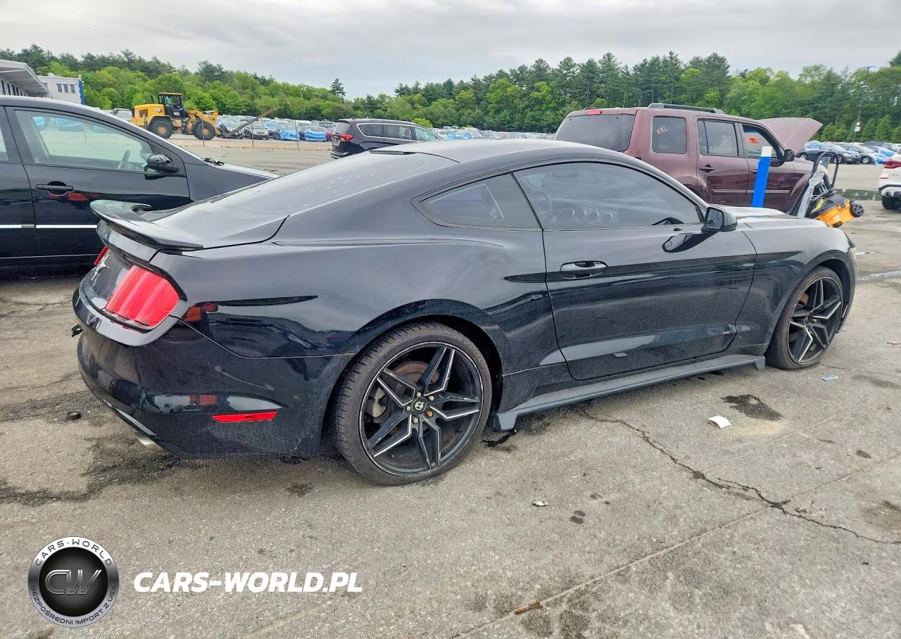 2017 Ford Mustang VIN:1FA6P8AM5H5257505 - 3