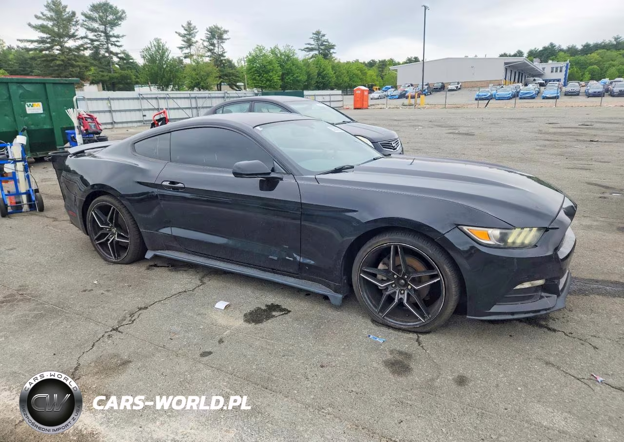 2017 Ford Mustang VIN:1FA6P8AM5H5257505 - 4