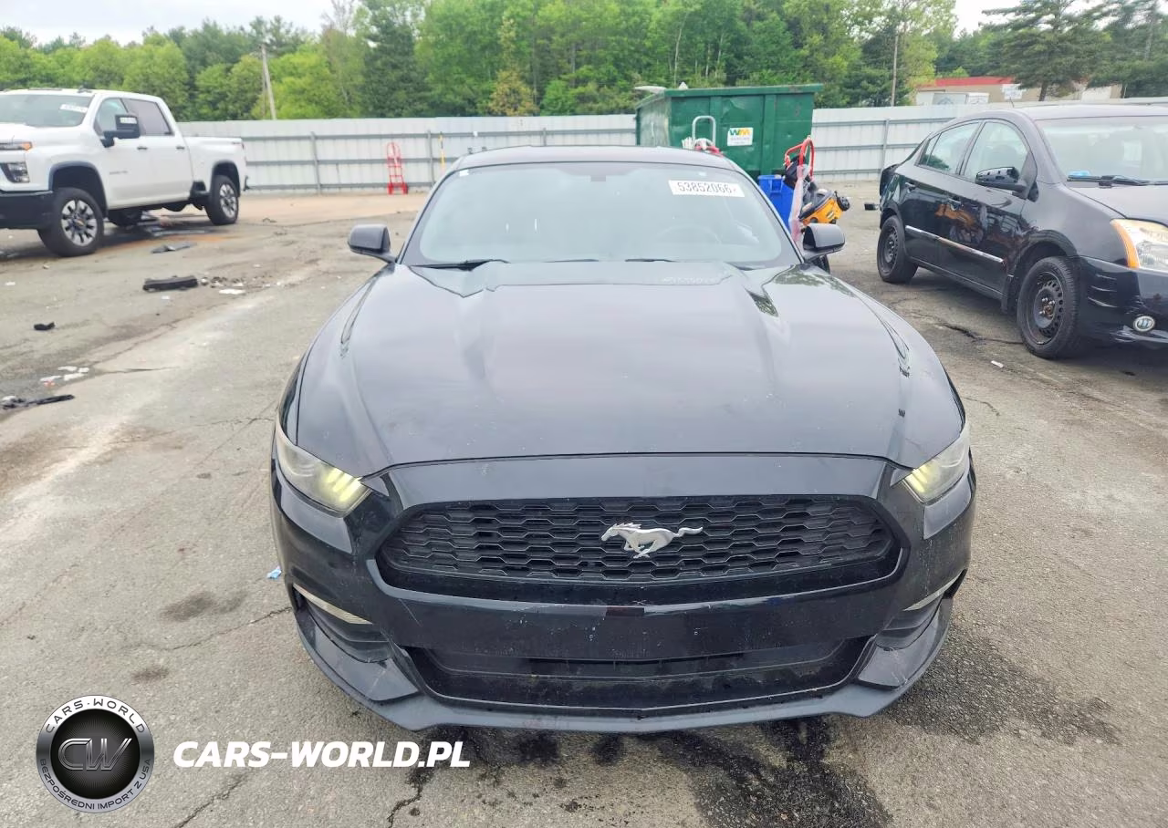 2017 Ford Mustang VIN:1FA6P8AM5H5257505 - 5