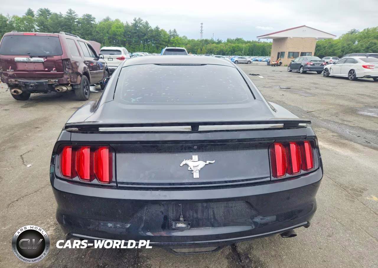 2017 Ford Mustang VIN:1FA6P8AM5H5257505 - 6