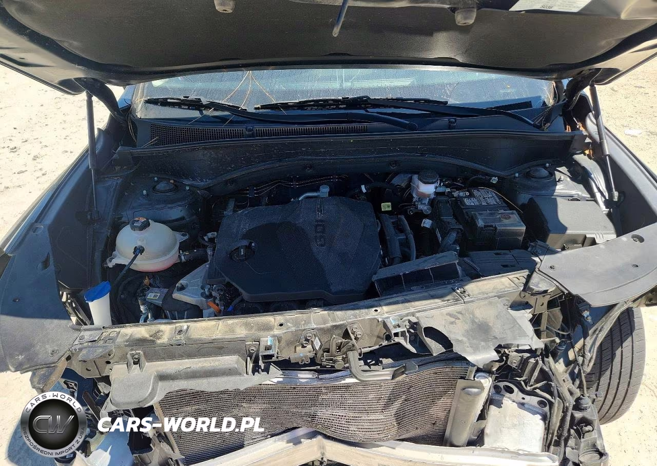 2023 Hyundai Santa Fe Sel VIN:5NMS2DAJ3PH490249 - 12