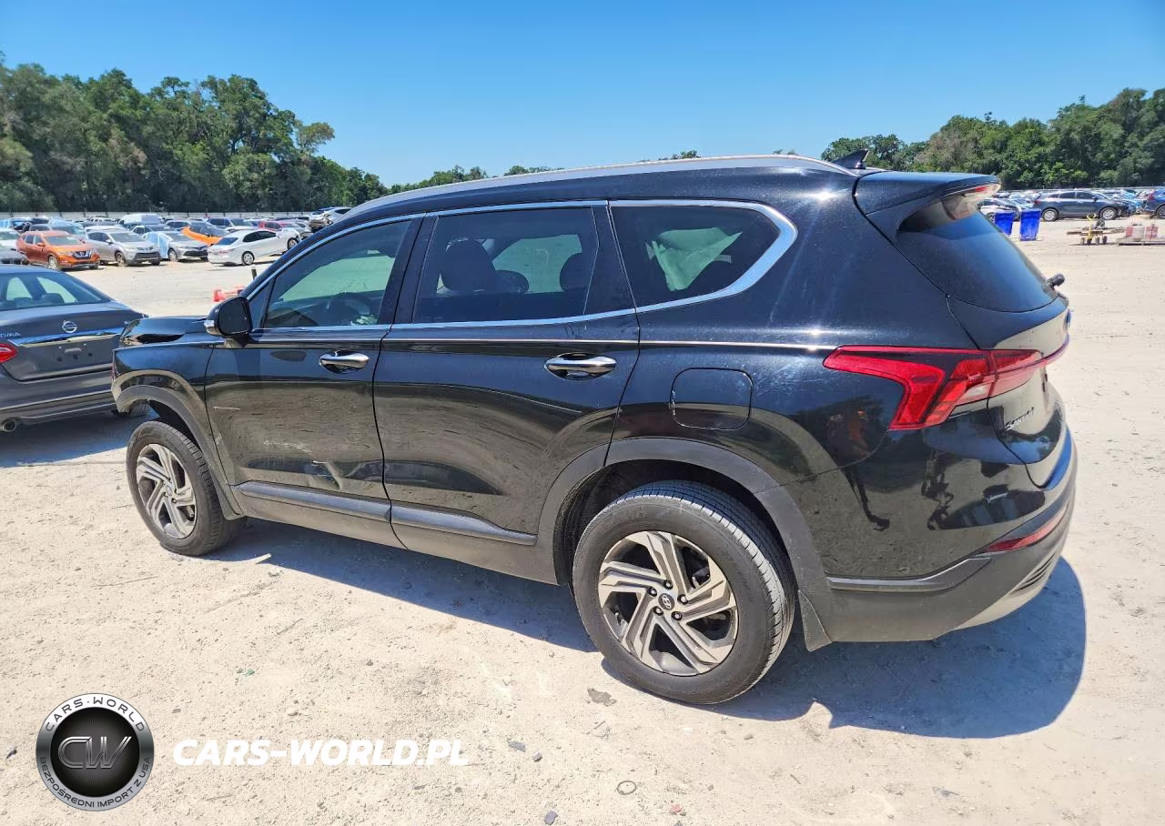 2023 Hyundai Santa Fe Sel VIN:5NMS2DAJ3PH490249 - 2