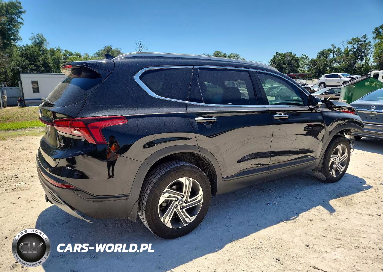 2023 Hyundai Santa Fe Sel VIN:5NMS2DAJ3PH490249 - 3