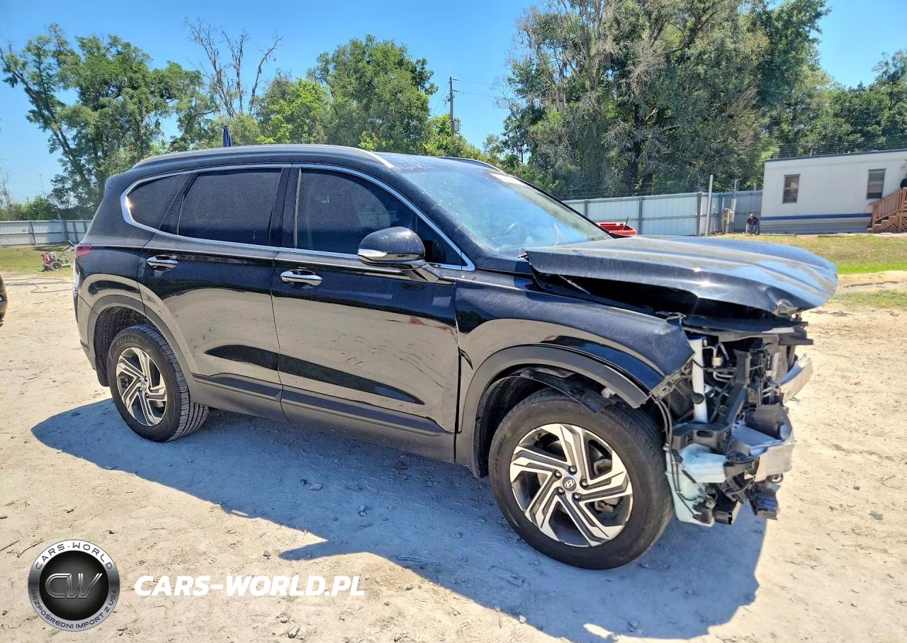2023 Hyundai Santa Fe Sel VIN:5NMS2DAJ3PH490249 - 4