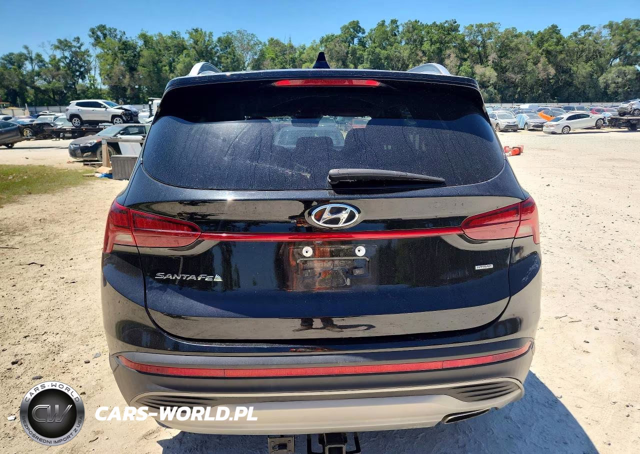 2023 Hyundai Santa Fe Sel VIN:5NMS2DAJ3PH490249 - 6