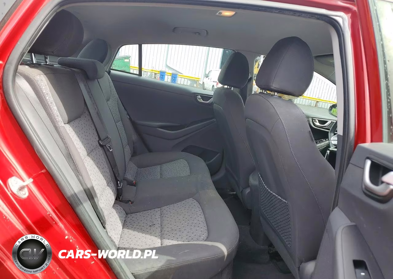 2019 Hyundai Ioniq Blue VIN:KMHC65LC0KU170574 - 10