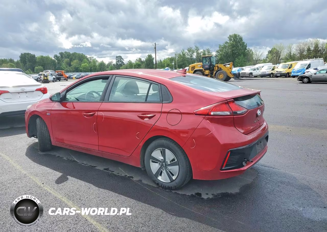 2019 Hyundai Ioniq Blue VIN:KMHC65LC0KU170574 - 2