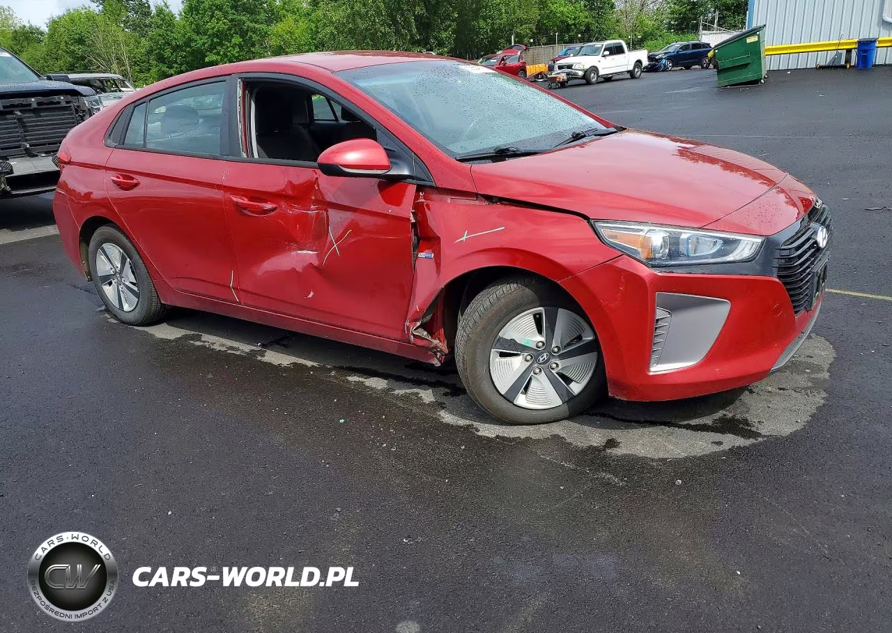 2019 Hyundai Ioniq Blue VIN:KMHC65LC0KU170574 - 4