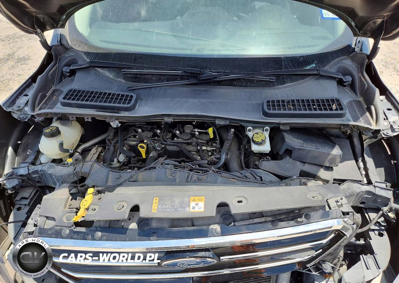 2019 Ford Escape Se VIN:1FMCU0GD8KUB85898 - 11