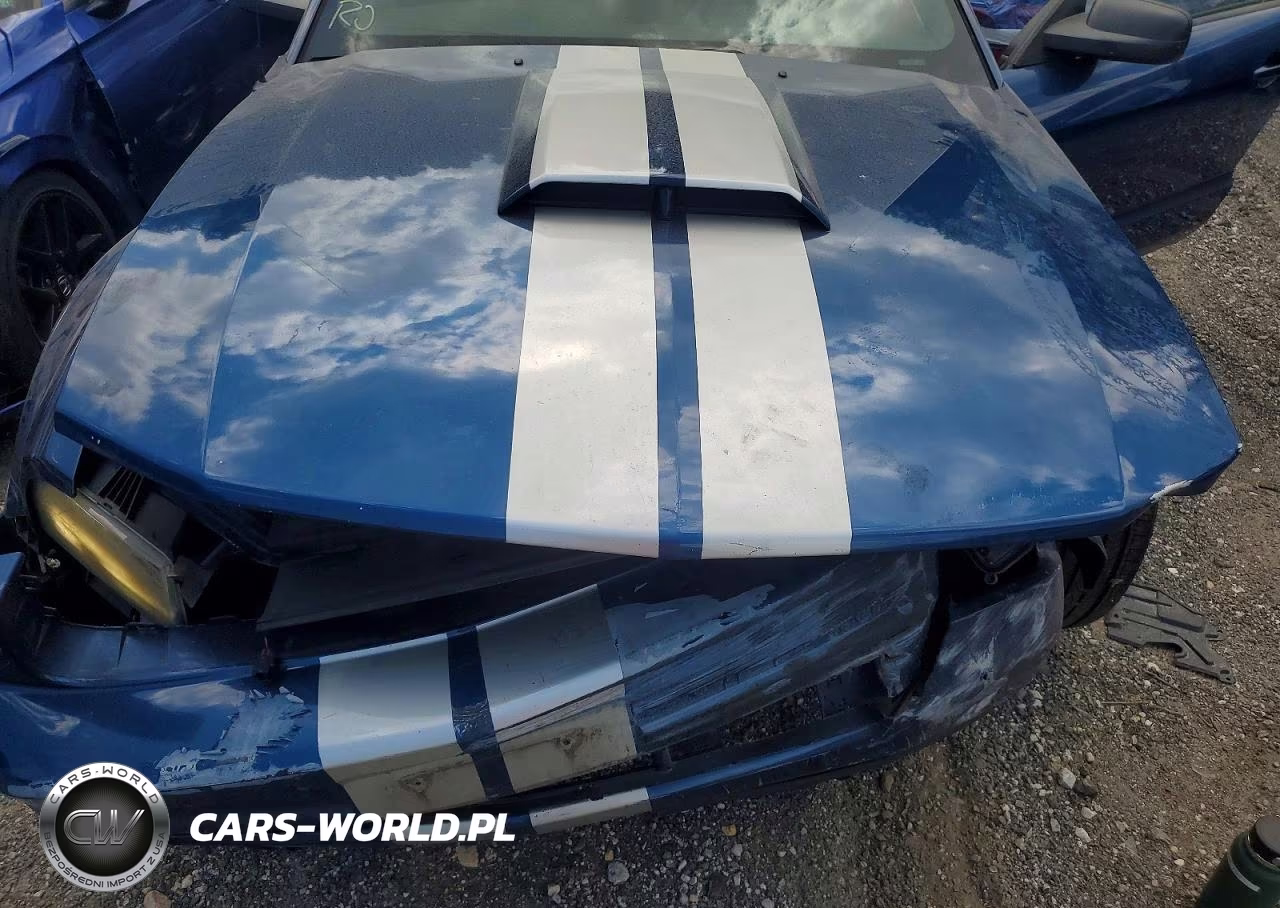 2008 Ford Mustang VIN:1ZVHT80N685101138 - 11