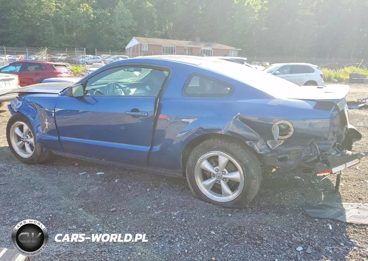2008 Ford Mustang VIN:1ZVHT80N685101138 - 2