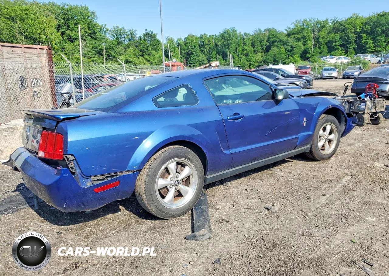 2008 Ford Mustang VIN:1ZVHT80N685101138 - 3